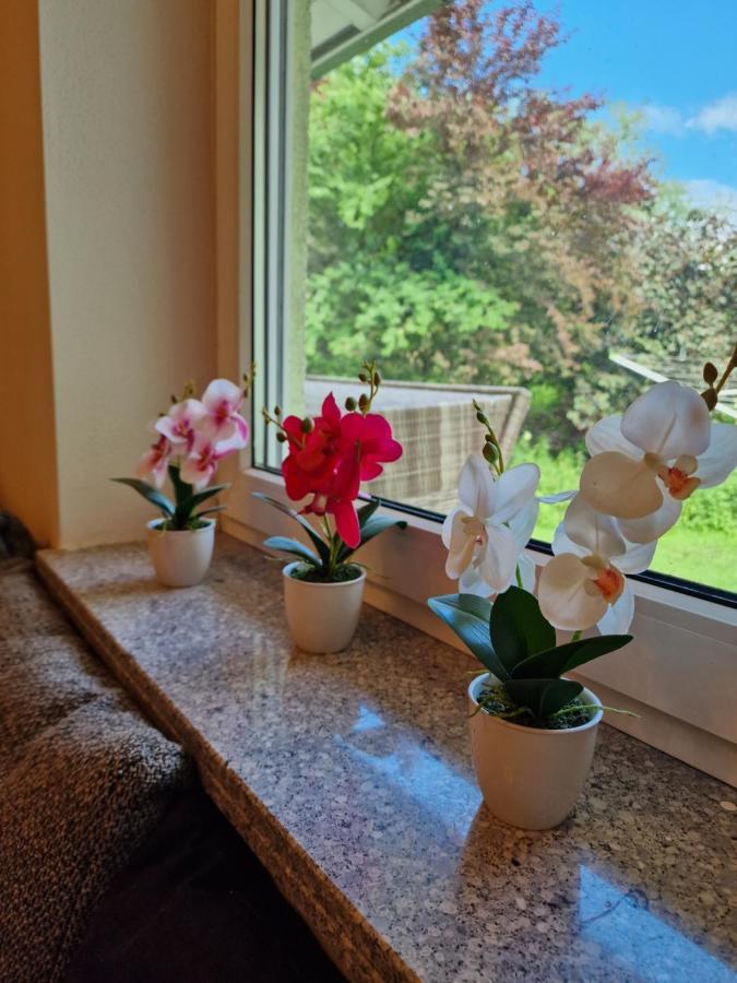 Ferienwohnung Bayernbrise Rohrdorf  Dış mekan fotoğraf